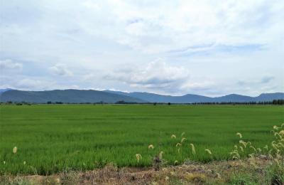 VENTA DE TERRENO DE 60 HAS. EN SAN MARTÍN